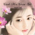 Cánh Hoa Chùm Gửi – Quỳnh Dao