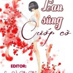 Lau súng cướp cò