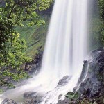 Ngàn năm đợi – Trần Thị Bảo Châu