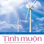 Tình muộn