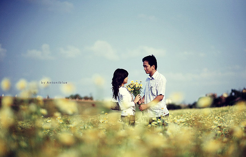 Trò Chơi Tỉnh Tò