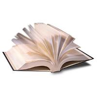 Vợ Bé Bỏng Của Tôi