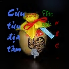 Cửu tửu địa tâm