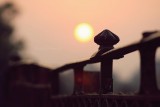 Hình Ảnh Chỉn Chu Của Chồng Sụp Đổ Sau 3 Năm Chung Sống