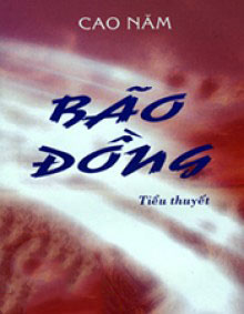 Bão Đồng