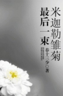 Bó Hoa Cúc Tây Cuối Cùng