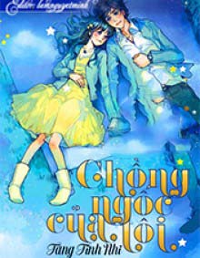 Chồng Ngốc Của Tôi